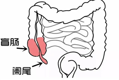 图片细节